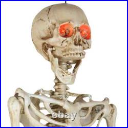 5'5 Halloween Poseable Human Size LED Lighted Skeleton Haunted Party Prop Decor