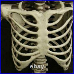 5'5 Halloween Poseable Human Size LED Lighted Skeleton Haunted Party Prop Decor
