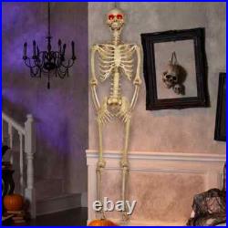 5'5 Halloween Poseable Human Size LED Lighted Skeleton Haunted Party Prop Decor