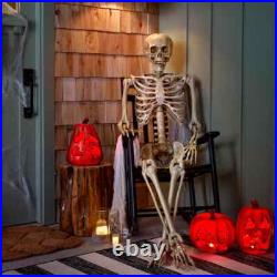 5'5 Halloween Poseable Human Size LED Lighted Skeleton Haunted Party Prop Decor