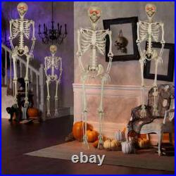 5'5 Halloween Poseable Human Size LED Lighted Skeleton Haunted Party Prop Decor
