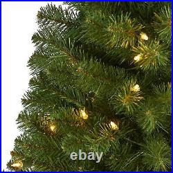 5 Virginia Fir Xmas Tree With200 Lights And 379 Tips