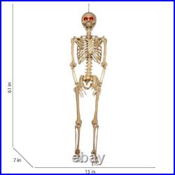 5 ft 5 in LED Eyes Poseable Human Size Skeleton Skull Halloween Decoration Prop