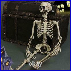 5 ft 5 in LED Eyes Poseable Human Size Skeleton Skull Halloween Decoration Prop
