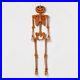 60_Posable_Pumpkin_Skeleton_Halloween_Decorative_Mannequin_Hyde_EEK_Target_01_iuz