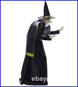 6FT Halloween Vintage LED Witch Outdoor Decor