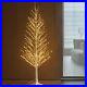6FT_Lighted_White_Tree_with_810_LED_Fairy_Lights_Winter_Twig_Artificial_Xmas_01_qbct