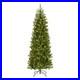 6_5_ft_Pre_Lit_Downswept_Douglas_Fir_Slim_Artificial_Christmas_Tree_300_LED_01_dwd