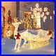 6_FT_Christmas_Lighted_Reindeer_Santa_s_Sleigh_With_215_LED_Lights_4_Stakes_01_qnp