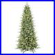 6_FT_Prelit_Artificial_Skinny_Christmas_Tree_Blue_Spruce_Slim_Pencil_Xmas_Tre_01_ar