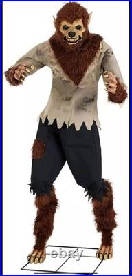 6 Foot Feral Werewolf Animatronic Seasonal Visions International Decoration