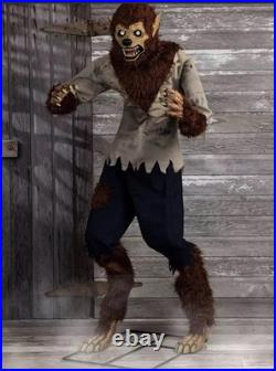 6 Foot Feral Werewolf Animatronic Seasonal Visions International Decoration