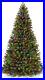 6_Ft_Pre_Lit_Premium_Green_Blue_Fir_Artificial_Christmas_Tree_Multi_Color_LEDs_01_axbt