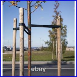 6 Ft. Round Tree Stake Lodge-Pole (12-Pack)
