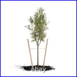 6 Ft. Round Tree Stake Lodge-Pole (12-Pack)