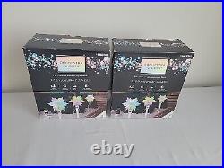 6 Gemmy Orchestra of Lights Multi-Color/Color-Changing Snowflake LED Path Lights