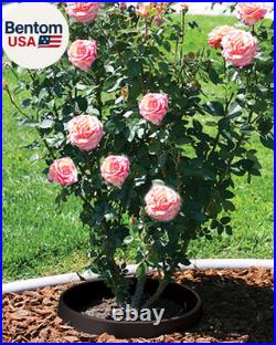 6 Pack 20 Tree & Shrub Watering Rings Deep Root Irrigation Basin with Solid O