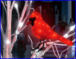 6' Twinkling LED Birch Tree With LED Cardinal Christmas Yard Decoration