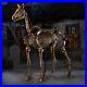 6_ft_Life_Size_Standing_Skeleton_Horse_Halloween_Prop_Home_Accents_Depot_01_xdpm
