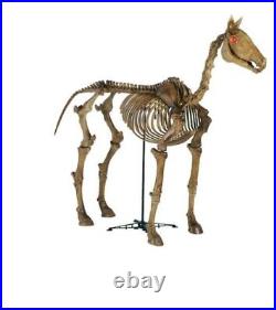 6 ft Life Size Standing Skeleton Horse Halloween Prop Home Accents Depot