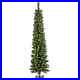 6_ft_Pre_Lit_Nooksack_Fir_Pencil_Slim_Artificial_Christmas_Tree_with_LED_Lights_01_hok