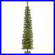 6_ft_Pre_Lit_Nooksack_Fir_Pencil_Slim_Tree_with_LED_Lights_Plug_In_01_fiyw