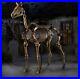 6_ft_Skeleton_Horse_Halloween_Prop_Standing_Life_Size_Home_Accents_Holiday_R7_01_ccge