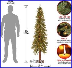 6ft Lifelike Cedar Christmas Tree with 476 Branch Tips & Beautiful Lighting 6ft Lifelike Cedar Christmas Tree with 476 Branch Tips & Beautiful Lighting