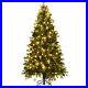 6ft_Pre_Lit_Artificial_Christmas_Tree_with300_LED_Lights_711_Branch_Tips_6_FT_01_nb