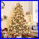 6ft_Pre_Lit_Artificial_Christmas_Tree_with_Flocked_Snow_LED_Holiday_Xmas_Decor_01_fwqq