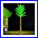 7FT_LED_Lighted_Palm_Trees_for_Outside_Patio_Artificial_Palm_Trees_with_Ligh_01_kha