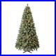 7_5Ft_Pre_Lit_Liberty_Pine_Artificial_Christmas_Tree_Color_Changing_Led_Lights_01_rgg