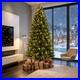 7_5_Foot_Hinged_Nordmann_Fir_Prelit_Christmas_Tree_Lifelike_Realistic_Tips_01_zq