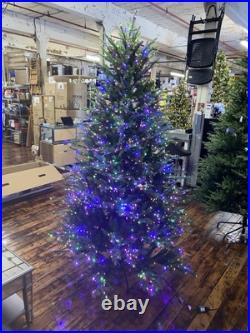 7.5 Ft FULL Grand Duchess Twinkling Balsam Fir Christmas Dim Tik Tok TikTok Tree 7.5 Ft FULL Grand Duchess Twinkling Balsam Fir Christmas Dim Tik Tok TikTok Tree