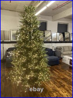 7.5 Ft FULL Grand Duchess Twinkling Balsam Fir Christmas Dim Tik Tok TikTok Tree 7.5 Ft FULL Grand Duchess Twinkling Balsam Fir Christmas Dim Tik Tok TikTok Tree