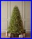 7_5_Ft_Grand_Duchess_Twinkling_Pre_Lit_Balsam_Fir_Christmas_Tree_T27_TikTok_NEW_01_asj