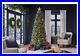 7_5_Ft_Slim_Grand_Duchess_Twinkling_Balsam_Fir_Christmas_Tree_950_Lights_TikTok_01_rf