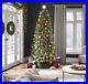 7_5_Ft_Slim_Grand_Duchess_Twinkling_Balsam_Fir_Christmas_Tree_950_Lights_TikTok_01_xsrf