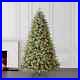 7_5_Hayden_Pine_Pre_Lit_Christmas_Tree_700_Warm_White_3199_Branch_Tips_01_ojd
