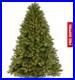 7_5_ft_Pre_Lit_LED_Grand_Duchess_Balsam_Fir_Christmas_Tree_01_xsnw