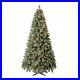 7_5_ft_Pre_Lit_Liberty_Pine_Artificial_Christmas_Tree_Color_Changing_LED_Lights_01_vxwe