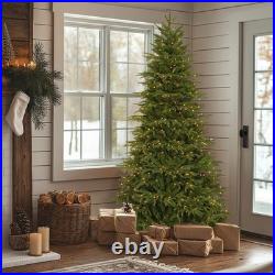 7.5 ft. Pre-Lit Northern Fraser Tree with Clear Lights