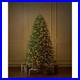 7_5_ft_SMART_FULL_Grand_Duchess_Twinkling_Balsam_Fir_LED_Pre_Lit_Tree_T27_01_nhds