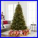 7_5ft_Christmas_Tree_with_Lights_Realistic_Fir_Christmas_Tree_Prelit_with_1746_01_kk