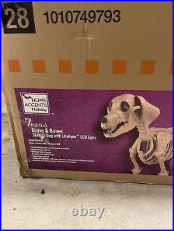 7 FOOT Skeleton Dog Skelly's Home Accent Halloween 2024 Home Depot In Hand