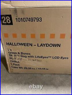 7 FOOT Skeleton Dog Skelly's Home Accent Halloween 2024 Home Depot In Hand