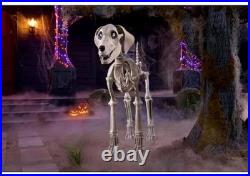 7 FOOT Skeleton Dog Skelly's Home Accent Halloween 2024 Home Depot Read
