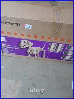7 FOOT Skeleton Dog Skelly's Home Accent Halloween 2024 Home Depot Read