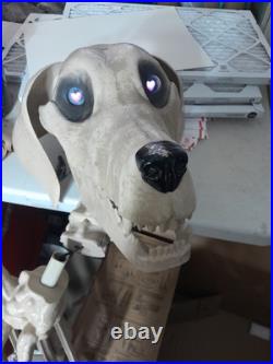 7 FOOT Skeleton Dog Skelly's Home Accent Halloween 2024 Home Depot Read