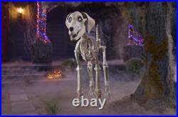 7 FOOT Skeleton Dog Skelly's Home Accent Halloween 2024 Home Depot SHIPS NOW